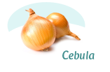 cebula